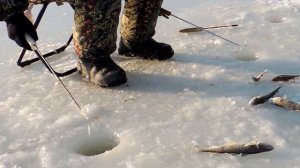 НАВАГА АТАКУЕТ Самодельные Блёсна. Зимняя Рыбалка на Море в Тавричанке.