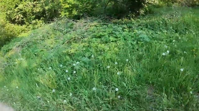 КАК УЕХАТЬ ОТ ДПС НА ПИТБАЙКЕ/МЕНЯ ПОЙМАЛИ ДПС/КАК ЗАБРАТЬ ПИТБАЙК/ПОКАТУШКА/ #стант #питбайк #ktm смотреть онлайн