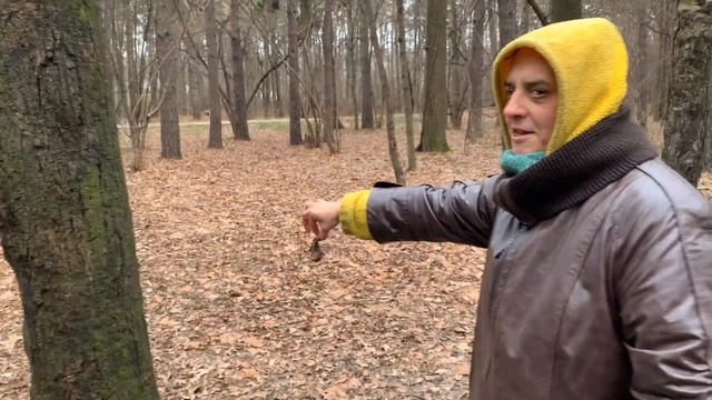 Готовим самые вкусные шашлыки смотреть онлайн