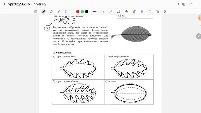 ВПР по биологии 6 класс (Линейная программа)