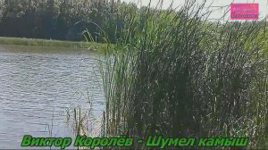 Виктор Королёв - Шумел камыш.mp4