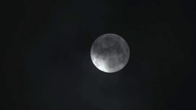 FULL ZOOM TEST with a Sony HX100v HD Camera смотреть онлайн