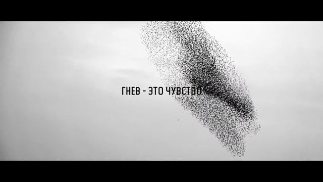 Стихи из Библии (к Ефесянам 4:26) @biblevideosverse смотреть онлайн