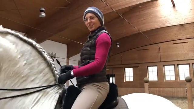 International Workshop "Classical Dressage" with Anja Beran 2019 смотреть онлайн