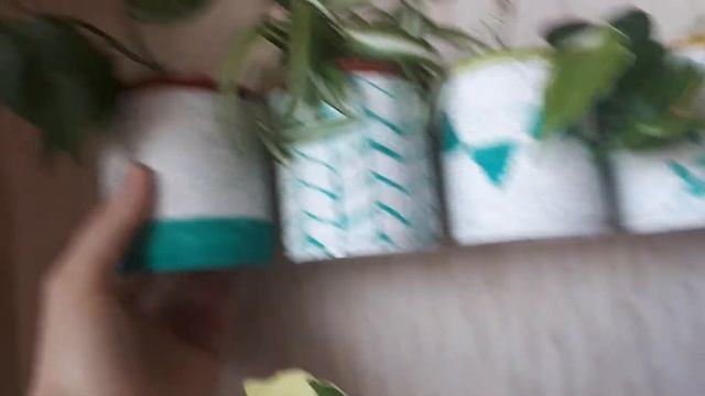Обзор цветов часть 3. Стелаж и окно смотреть онлайн