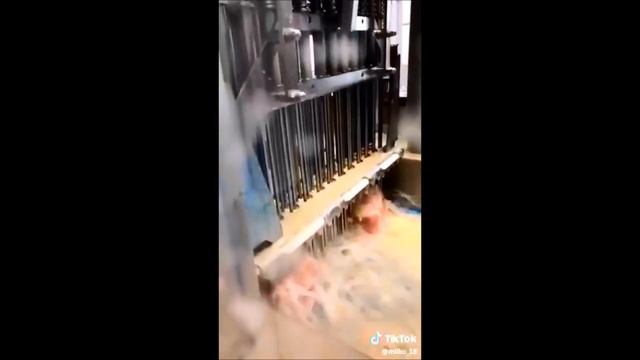Увеличение веса при помощи шприцевания смотреть онлайн