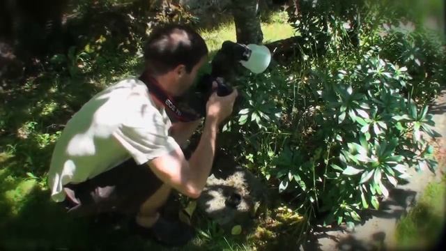 Canon Speedlite 580EX II Tutorial Part 1