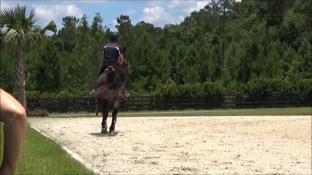 Alsnistria June 7 youtube смотреть онлайн