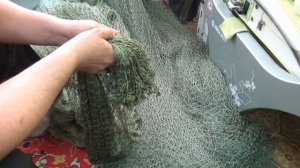 Что такое дель, как начать работу с рыболовной узловой делью, что такое понимание узловая дель.