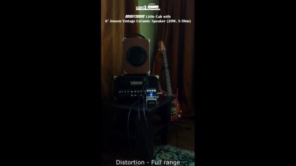 Гитарный кабинет с усилителем Yerasov Gavrosh 10H