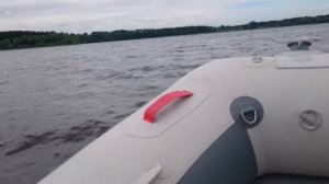 Badger FL 330 + Mercury F9,9M