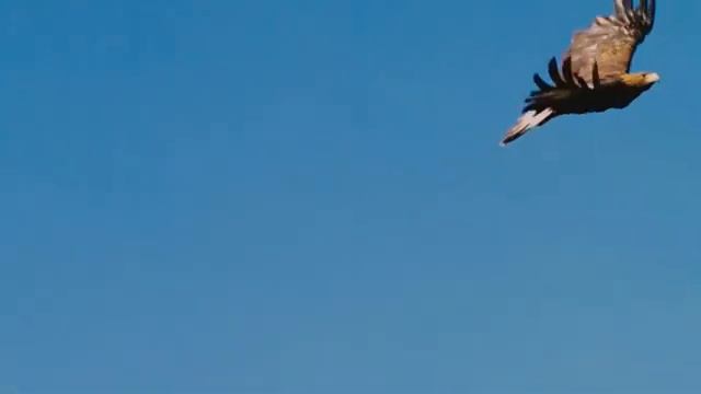 Самый страшный фильм ужасов смотреть онлайн