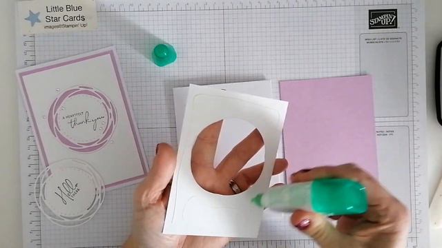 Simple card using Painted Poppies matching dies- but no poppies! смотреть онлайн