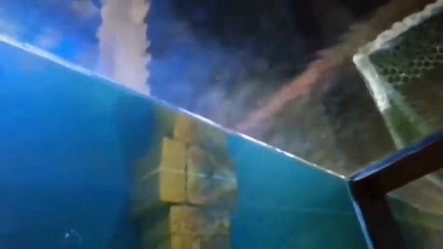 Акуленок г. Самара смотреть онлайн