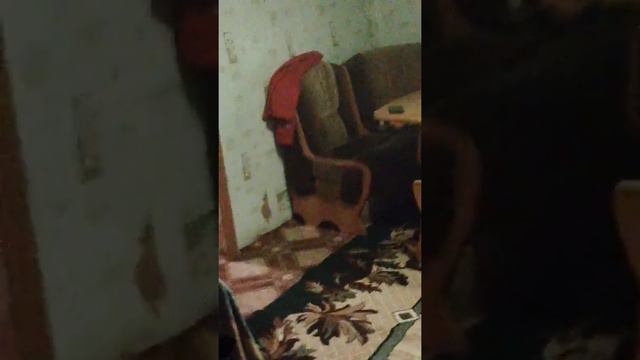 Х** сосать нете ребята смотреть онлайн