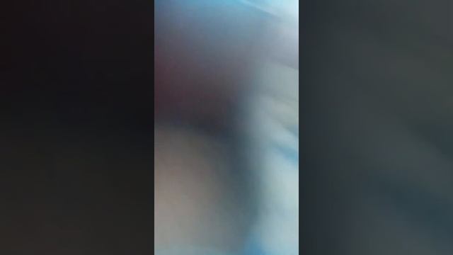 Как нужно ловить котов Возьмите баллончик с освежителем воздуха и брызгать и они поэтому отреагирую смотреть онлайн