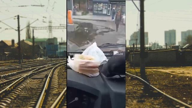 Воронеж: помните птичку, которая ворует деньги у водителей маршруток? Она опять взялась за своё! ? смотреть онлайн