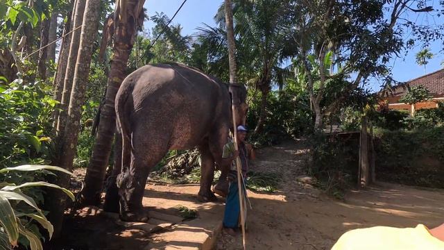 Шри - Ланка ч.2, пляжи Унаватуны, город Элла, девятиарочный мост смотреть онлайн
