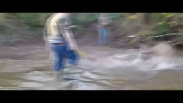 The hunters nearly fainted when they saw what the deer had caught on with its horns… смотреть онлайн