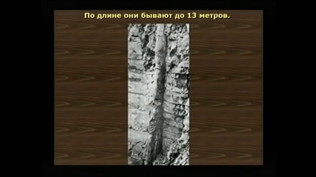 Запрет смотреть онлайн