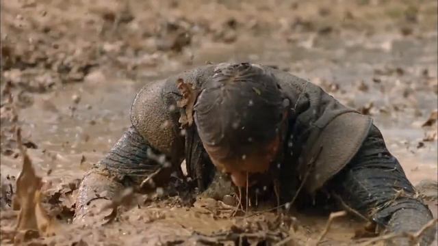 Султан Мурад IV выходить из болты смотреть онлайн