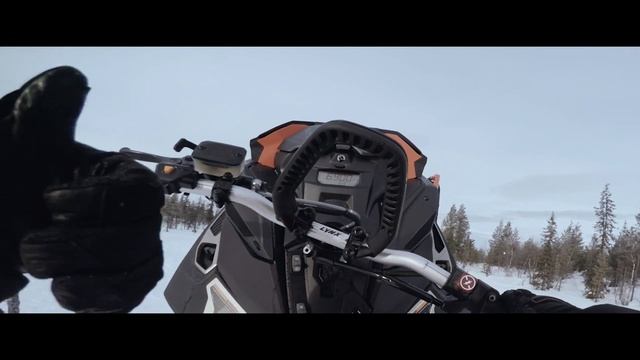 Lynx 2018 | 50th anniversary | 4K смотреть онлайн