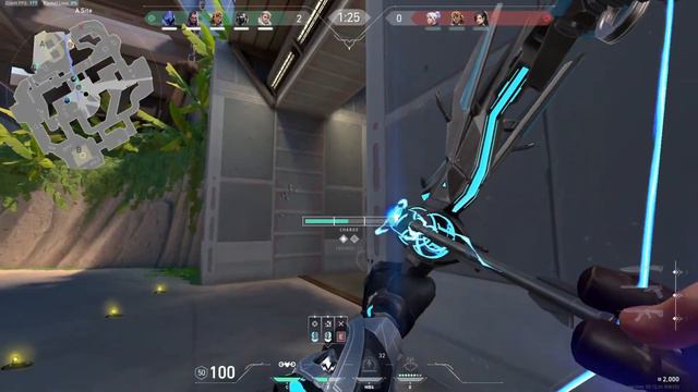 В МИРЕ ЖИВОТНЫХ /VALORANT смотреть онлайн