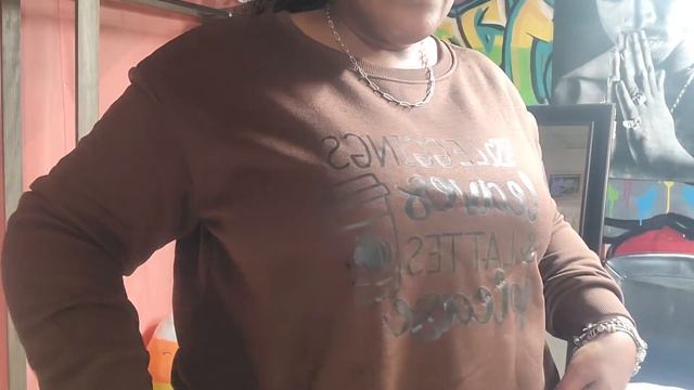 Shein fall 🍂 try on haul / plus size and curve / cute autumn finds 💕 the colors смотреть онлайн