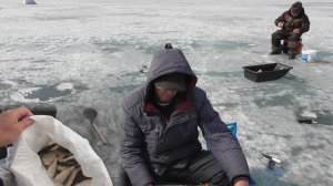 Рыбалка.Как ловить плотву весной.Закрытие сезона.