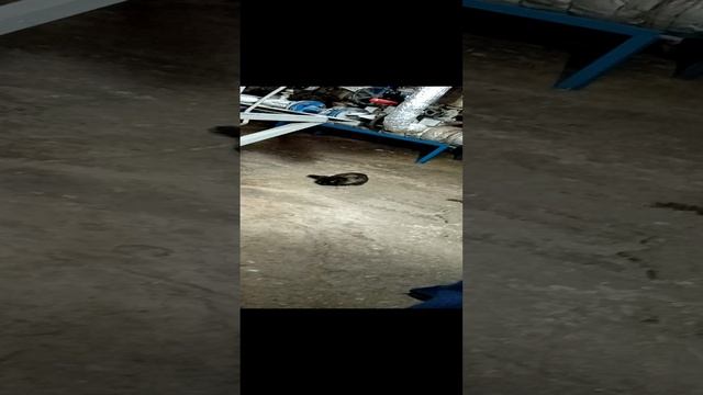 Живём настоящим