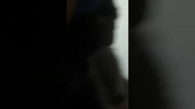 Шерик просто лежит / Шеря Всё такое/ смотреть онлайн