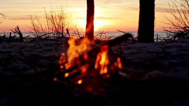 Campfire Guitar 4K Serenade Escape смотреть онлайн