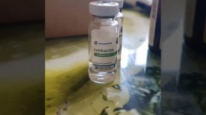 Корова не пришла в охоту? Как вызвать охоту у коровы?