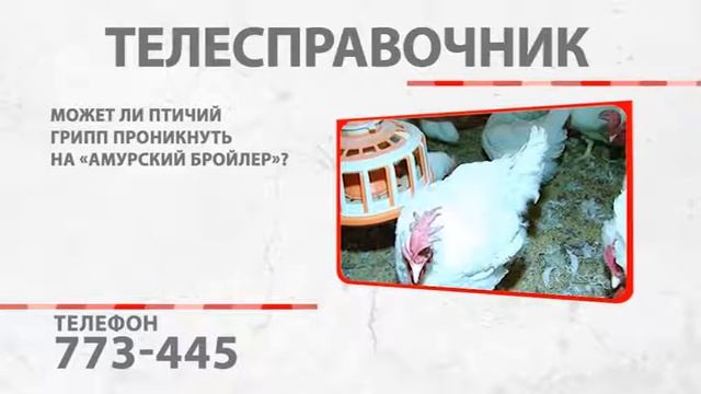 "Телесправочник": Как первоклассника морально подготовить к школе? смотреть онлайн