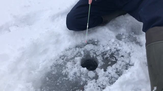 ОСВАИВАЮ БЕЗМОТЫЛКУ смотреть онлайн