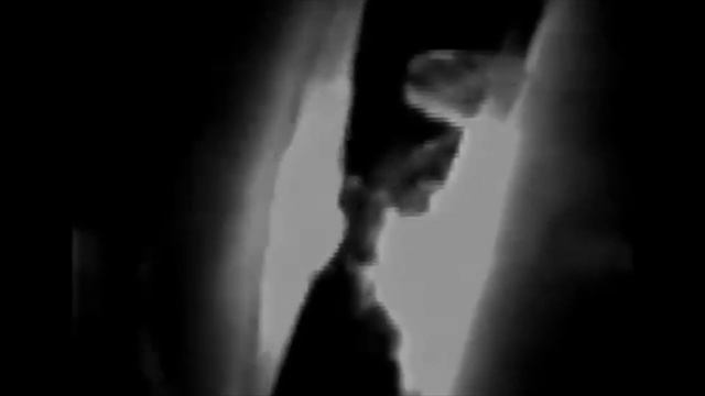 Frankie & Zimmy (aka FZBD) By Gerry Fialka & Tyler Bartram