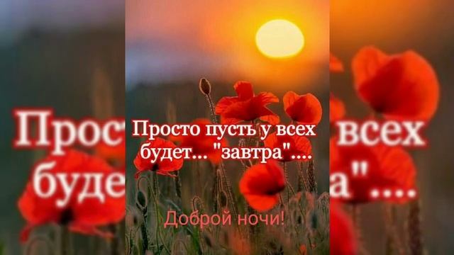 Добрый вечер/Сладких снов/Доброй ночи смотреть онлайн
