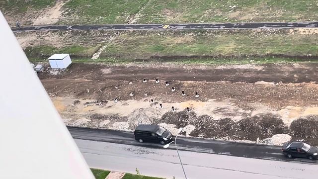 Морская Горгиппия. Сегодня прошла встреча с мэром. Итоги в следующем видео. смотреть онлайн
