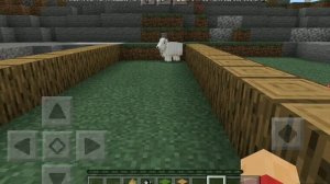 Новый моб в майнкравт 1.16.200.52 , Коза , как добыть козий рог ?