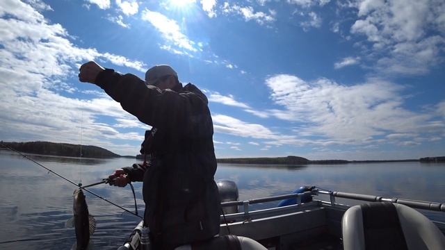 Преднерестовый клёв судака. Рыбалка с Корейцем. Рыбалка в Финляндии. смотреть онлайн