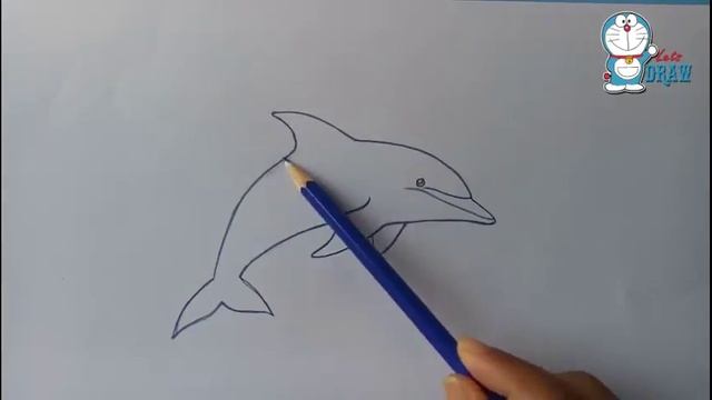 How To Draw Dolphin Step By Step