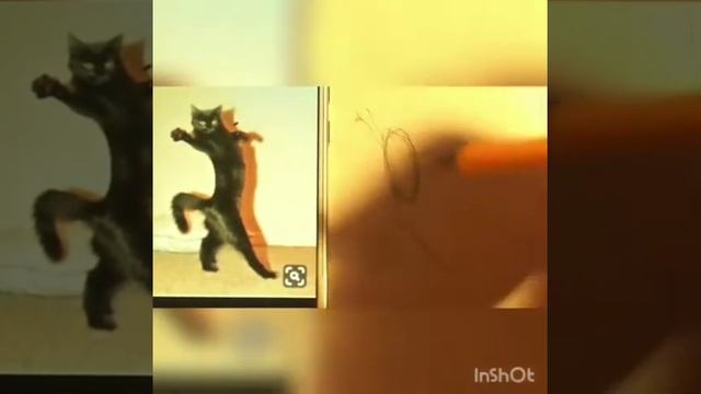 Как нарисовать любое животное за 15 минут смотреть онлайн