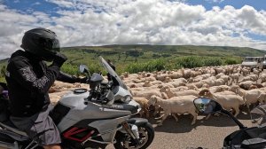 Мотопутешествие 2024 часть 3 / Грузия, бриллиантовый мост