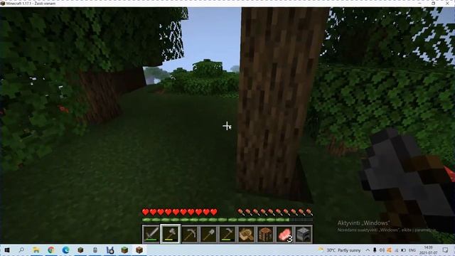 Neradau metalo ? (Ep.1) MINECRAFT JAVA Edition Lietuviškai смотреть онлайн