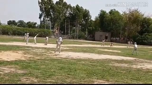 playing game cricket match in bhagat singh ground . смотреть онлайн