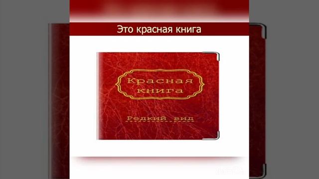 Основы экологии Тема "Зачем нужна Красная книга?" Дистанционное обучение смотреть онлайн