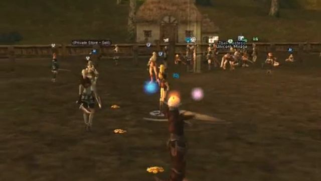 PVP 5vs5 In Lineage 2