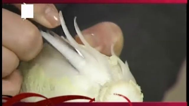 хризантема из китайской капусты смотреть онлайн
