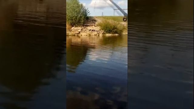 Самодельный самоподсекатель для рыбалки своими руками #shorts смотреть онлайн