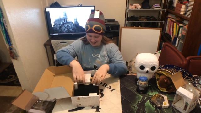 10" Funko POP Hedwig and more Harry Potter Treasure! смотреть онлайн
